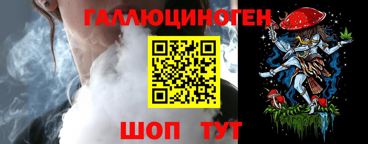 Псилоцибиновые грибы Psilocybe Шебекино
