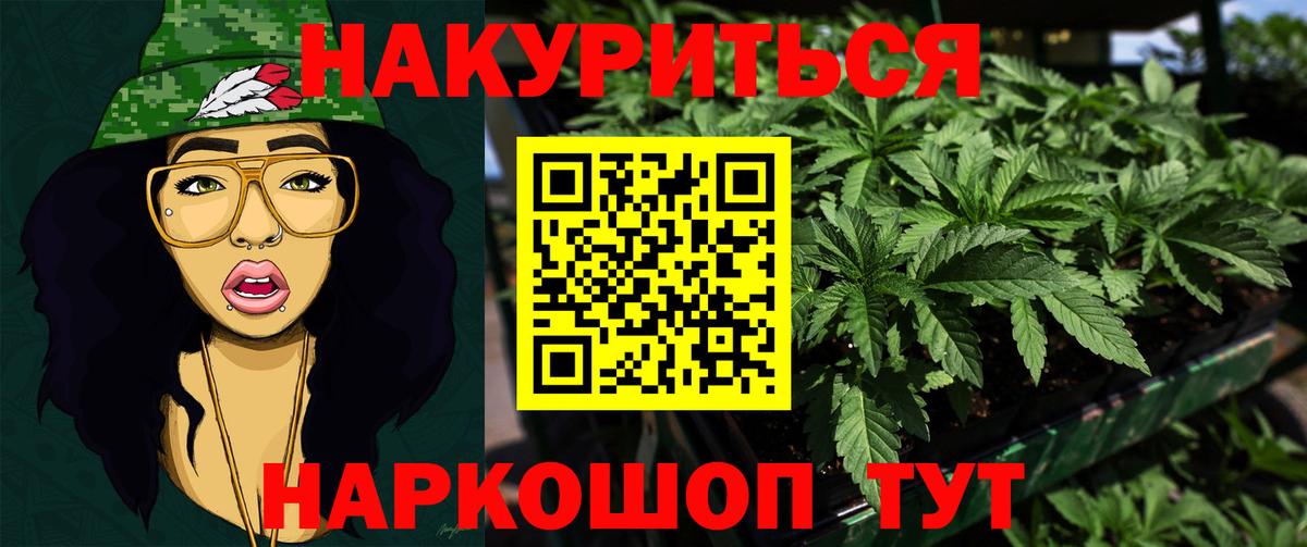 Шебекино  Бошки марихуана марихуана  Вход с VPN  Бошки марихуана VHQ 